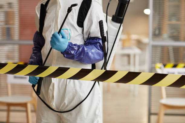 Professional Sewage Cleanup technician working in Kodak, TN